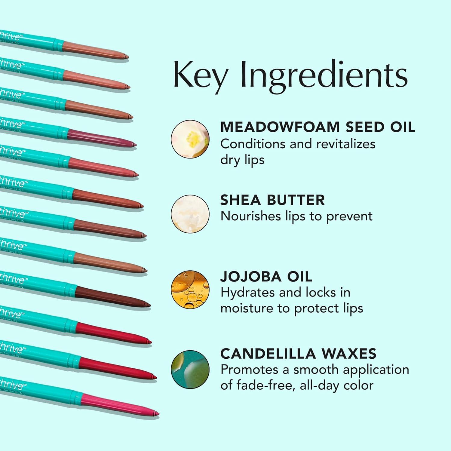 imageThrive Causemetics Lip Filler LongWearing  Plumping Lip Liner Shea Butter Hydrating Lip Plumper Retractable Lip Liner Pencil Built In Sharpener Vegan amp Cruelty Free Katrece EspressoJo Pink Mauve